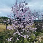 Διαμέρισμα Estrellas Relleu