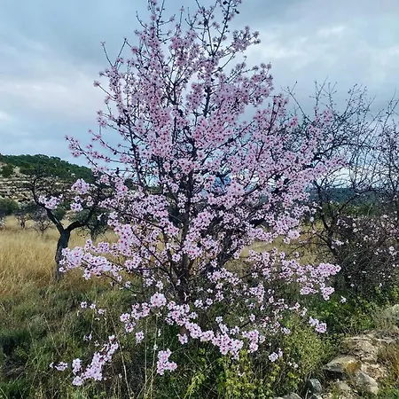 公寓 Estrellas Relleu